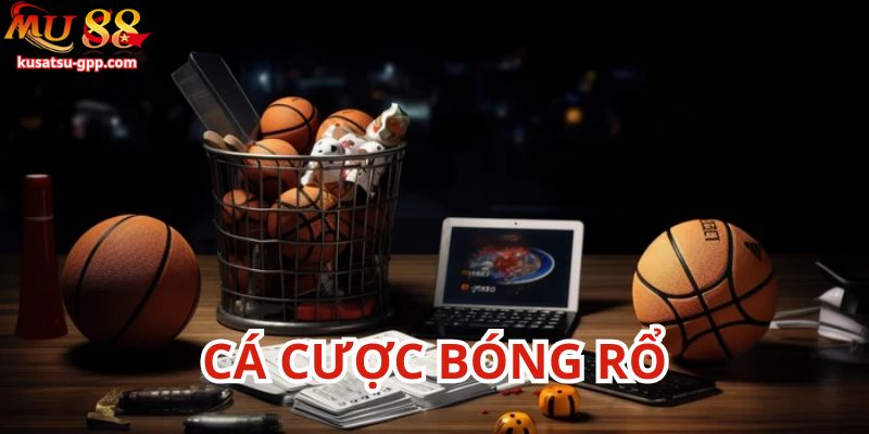 Sức hút cá cược bóng rổ Mu88